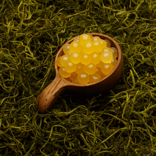 Mango Popping Boba